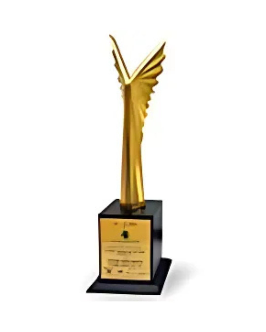 Vijay Rattan Gold Medal