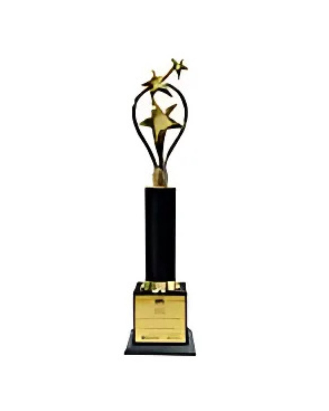 Rajiv Gandhi Excellence Award