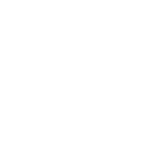 Heart Icon